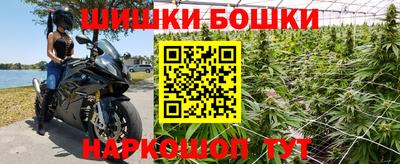 крисы Ярославль