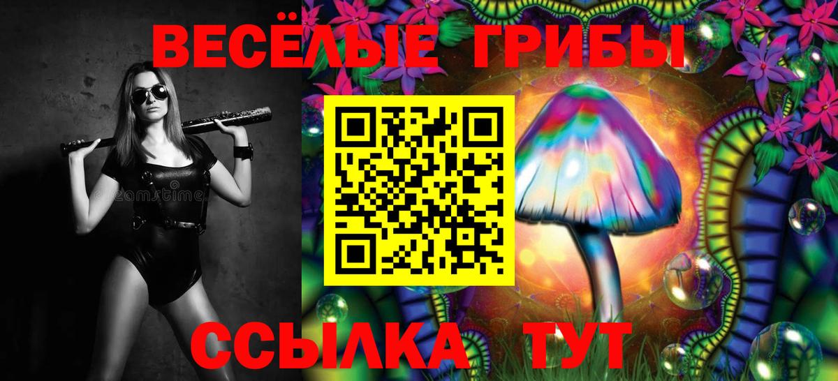 Галлюциногенные грибы прущие грибы  Галлюциногенные грибы MAGIC MUSHROOMS  Вход с VPN  Бахчисарай 