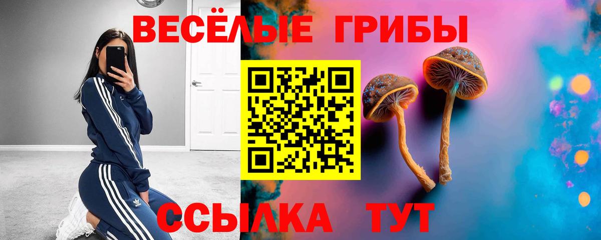 Псилоцибиновые грибы мухоморы Бахчисарай