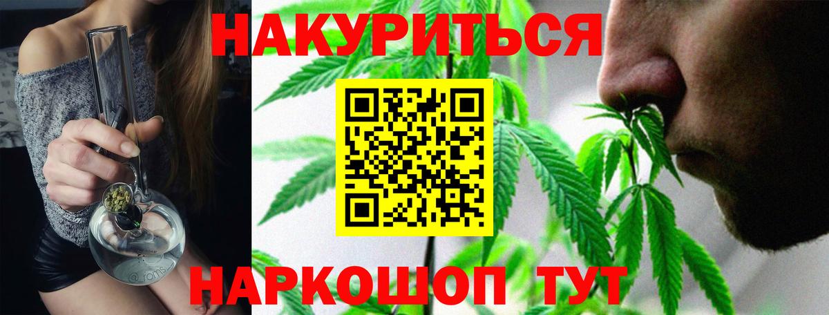 Бошки Шишки семена Бахчисарай
